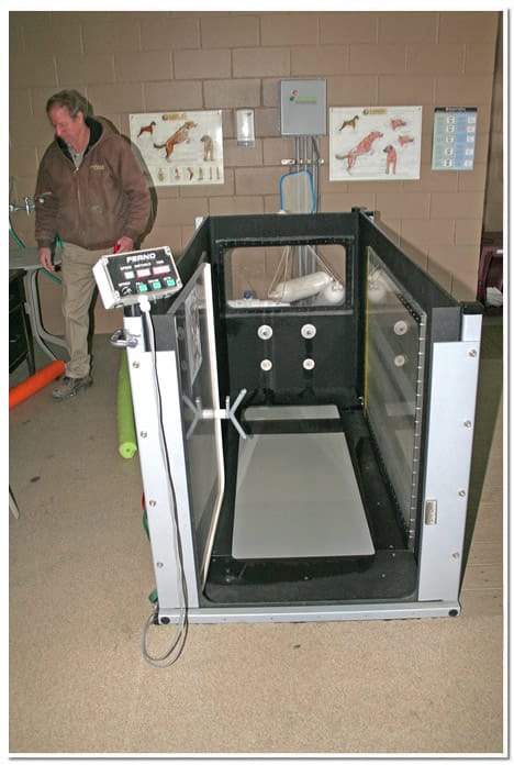under water treadmill for pet exercise