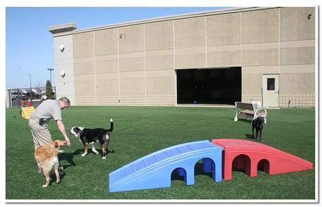 Irrigated outdoor play area at The Paw