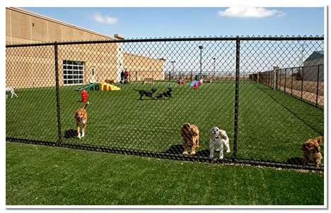 Large ourdoot astroturf play area at The Paw