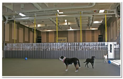 Airconditioned Dog House - Insulating 11, Brian Kirk